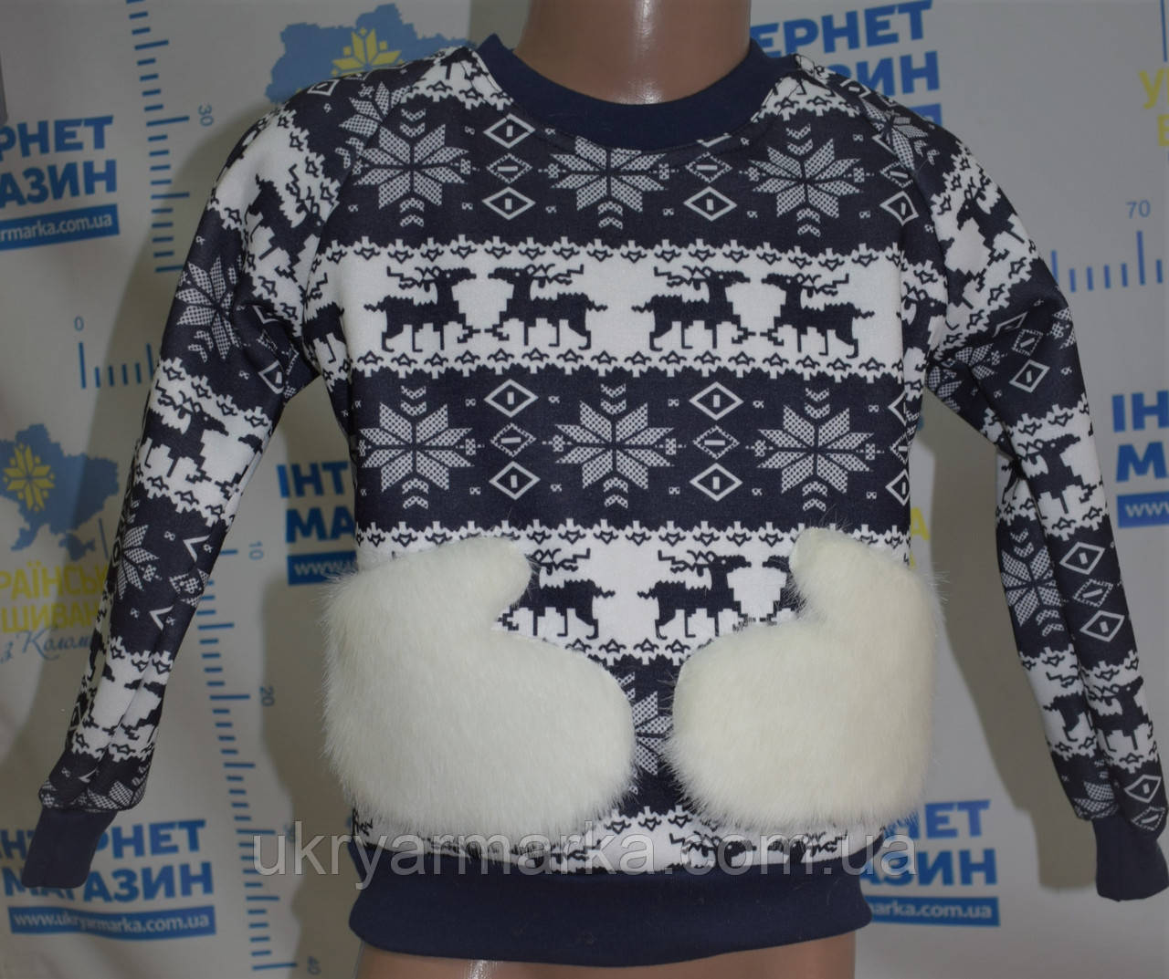 Дитячий вишитий світшот "Рукавичка"