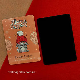 Виниловые магниты. Размер 95х65 мм 1