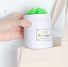 Зволожувач повітря 330 мл Bedlight з підсвічуванням. Ультразвуковий зволожувач повітря Кактус локальний, фото 6