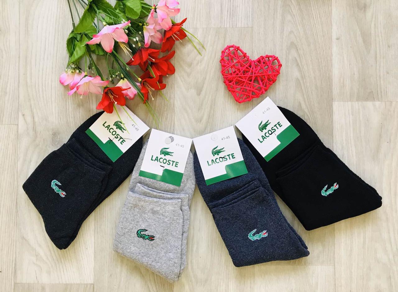 Шкарпетки чоловічі 12 пар зимові махрові бавовна Lacoste Туреччина розмір 41-45 мікс кольорів