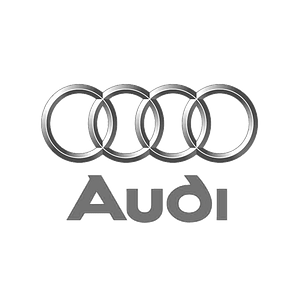 Авто чохли на Audi