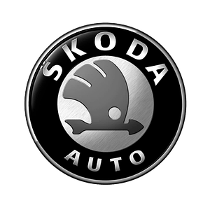 Авто чохли на Skoda