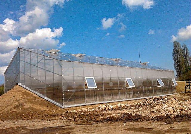 У чому доцільність вегетария Іванова Доцільність вегетария Іванова?