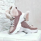 Жіночі зимові черевики спортивного стилю на високій підошві (пудра), фото 9