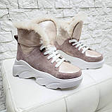 Жіночі зимові черевики спортивного стилю на високій підошві (пудра), фото 7