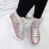 Жіночі зимові черевики спортивного стилю на високій підошві (пудра), фото 6