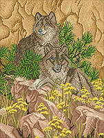 Картинка для повної вишивки бісером «Вовки»