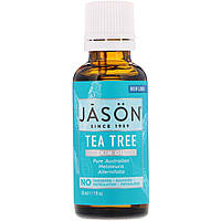 Масло чайного дерева (Oil Tea Tree), Jason Natural, 30 мл