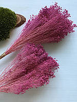 Брюмелия темно рожева суха ( 40 гр )
