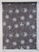 Рулонні штори Кульбаби 5428/3 Графіт