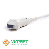 Мікроконвексний Датчик Kaixin, 6.5С20Е1 (5.0-9.0 МГц)