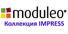 IMPRESS 2,5 мм