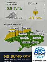 Соняшник НС 6059 (Сумо 007) посуха 9 бал, вовчок A-F+, гранстару 50 гр. 50ц/га, Євросем. Преміум, фото 9