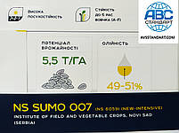 Соняшник НС 6059 Сумо 007 стійкий до засухи, відблиску A-F+, гранстару 50 грамів. 50ц/га, Преміумоброблення, фото 4