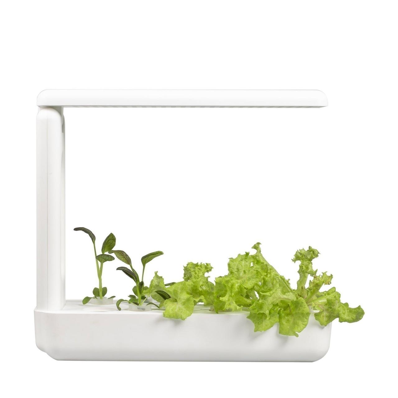 Vegebox™ by BioChef - Kitchen Box - набір садовий для гідропоніки
