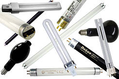 Лампи люмінесцентні ультрафіолетові BL, BLB, DULUX, ЛУФ, ДРУФ