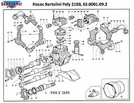 Ремкомплект насоса Bertolini POLY 2150, 62.9806.97.3, фото 3