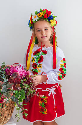 Вишитий костюм для дівчинки Чарівні руні блузка та спідниця