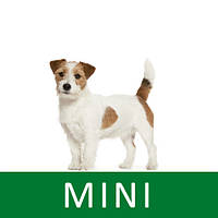 Royal Canin MINI (для собак від 4 кг до 10 кг)