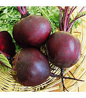 Кестрел F1 / KESTREL F1 буряк столовий 50 000нас Sakata