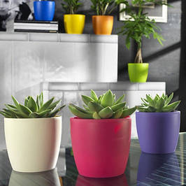 Пластикові горщики для квітів