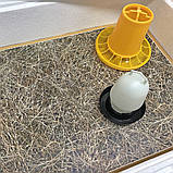 Ясла для пташенят "Теплуша", фото 5