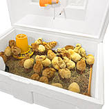 Ясла для пташенят "Теплуша", фото 8