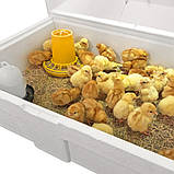 Ясла для пташенят "Теплуша", фото 9