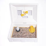 Ясла для пташенят "Теплуша", фото 10