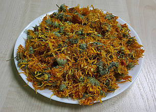 Нагідки 1кг