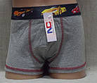 Боксери труси для хлопчика бавовна Раллі. Польща. Труси Natural Club, фото 2