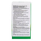 Зелений чай, 40 капсул, FITO PHARMA, фото 4