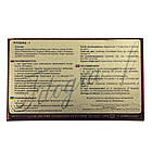 Фітогра-F, 20 капсул, FITO PHARMA, фото 5