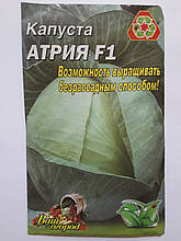 Капуста Атрія F1 пізня 5 р. (мінімальне замовлення 10 пачок)
