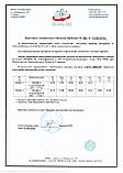 Профіль алюмінієвий для щаблів LPS-22 (LPS-22/1 + LPS-22/2) Biom, 2 м, фото 2