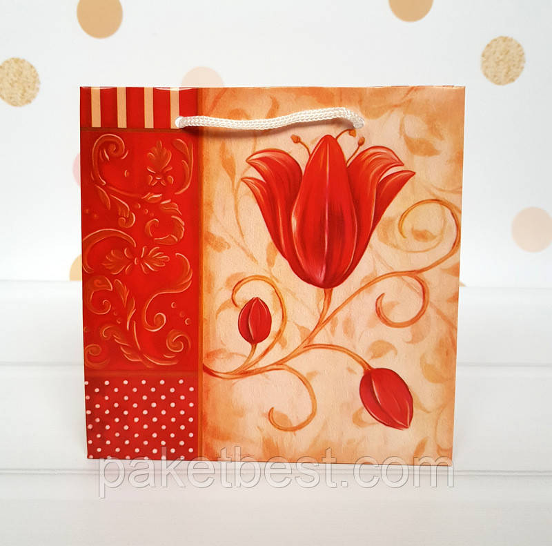 Подарунковий пакет ЧАШКА 16х16х7,5