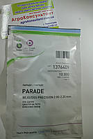 Насіння цибулі на перо Параде (Bejo Zaden), 10 000 насінин — рання (65-70 днів), високоврожайна