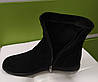 STTOPA деми зима. Розміри 41-44. Напівчоботи великих розмірів шкіряні. 285-4144 Чорні, фото 5