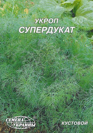 Насіння кропу Супердукат 20 г, Насіння України, фото 2