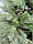 Ель штучне Ковалевська 1,50 м (150см) лита, зелена, фото 4