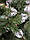 Ель штучне Лідія 2,20 м (220см) з білими кінчиками, фото 5
