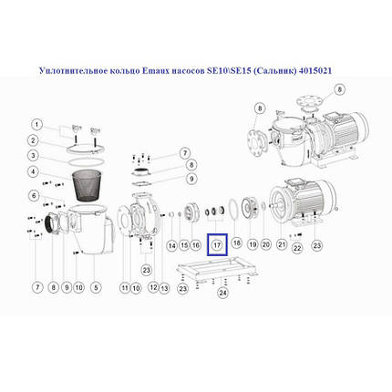 Ущільнювальне кільце Emaux насосів SE10\SE15 (Сальник) 4015021, фото 2