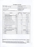 Жовтогарячий харчовий барвник 10 г Індія, фото 4
