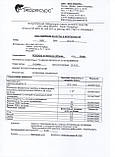 Зелене яблуко харчовий барвник 10 г Індія, фото 4