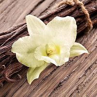 Що таке справжня ваніль, ванільний екстракт і ванілін?