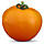 Насіння томату Нуксі КС (KS 17) 500н, фото 5