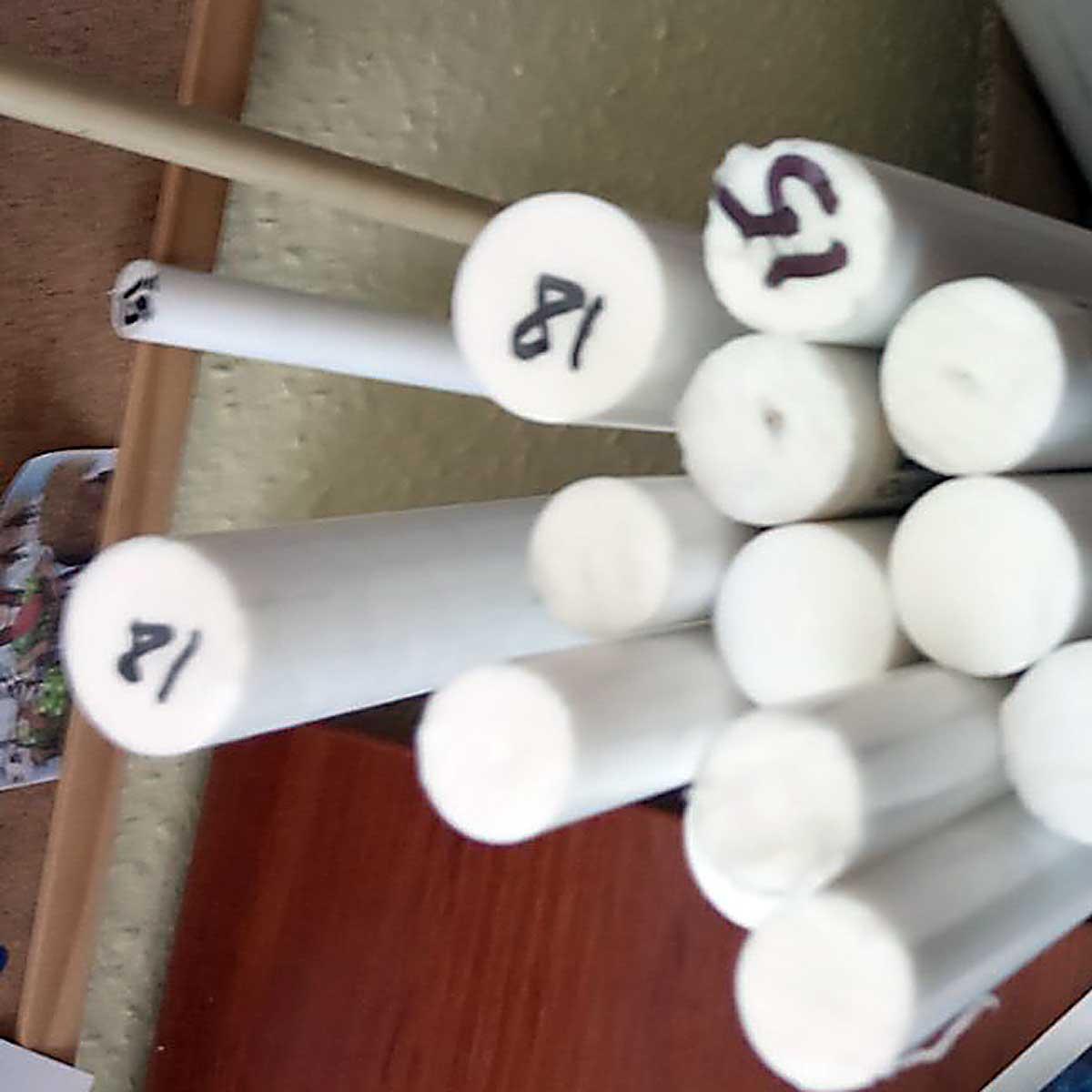 ででこ 予約品 Z/Xを予約してデュナミスカードGETキャンペーン！ ｜ Z/X