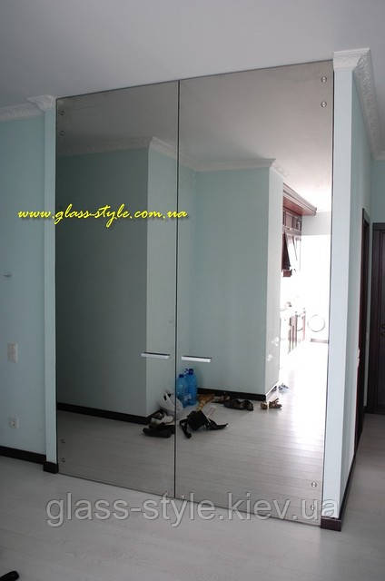 Двостулкові скляні Дверцята Manet Compact, фото 1