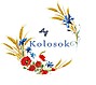 Колосок інтернет магазин вишиваного одягу і аксесуарів