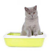 Туалети, наповнювачі і аксесуари